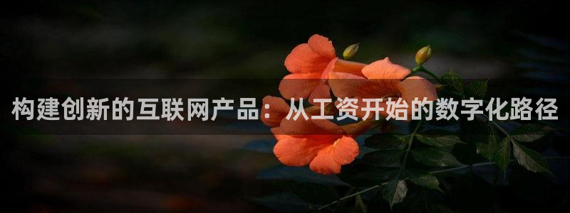 辉达娱乐珈75775