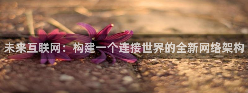 辉达娱乐公司