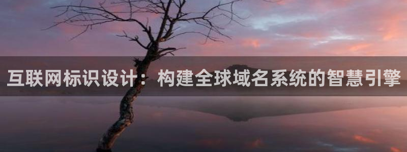 辉达娱乐多少年