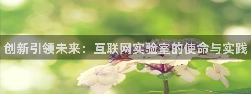 辉达娱乐可靠
