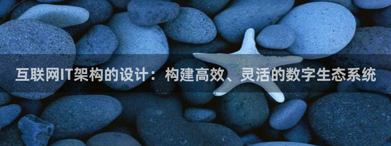 辉达娱乐检测