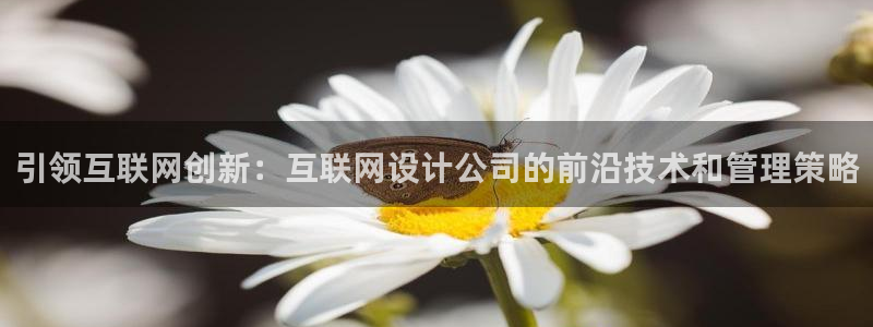 辉达娱乐时时彩平台