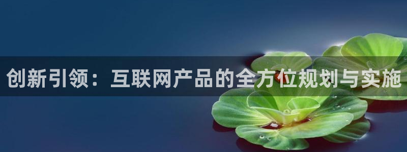 辉达娱乐属于什么档次