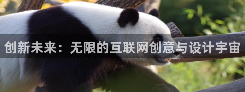 辉达娱乐五39444