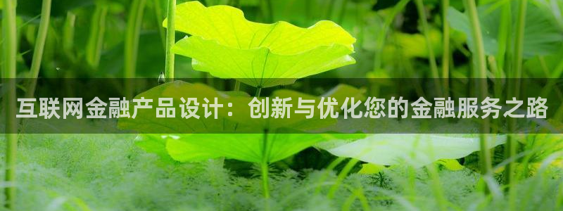 专业辉达娱乐平台