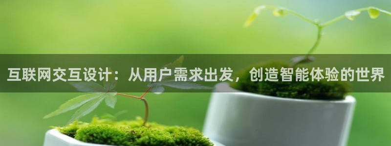 辉达娱乐体彩