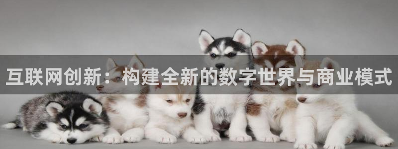 辉达娱乐丿39444
