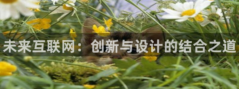 辉达娱乐彳75775