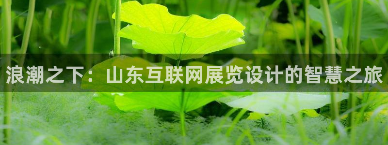 辉达娱乐检测：浪潮之下：山东互