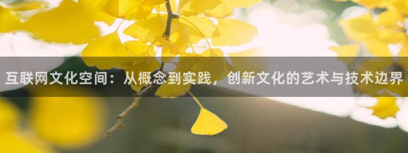 辉达娱乐分红：互联网文化空间：