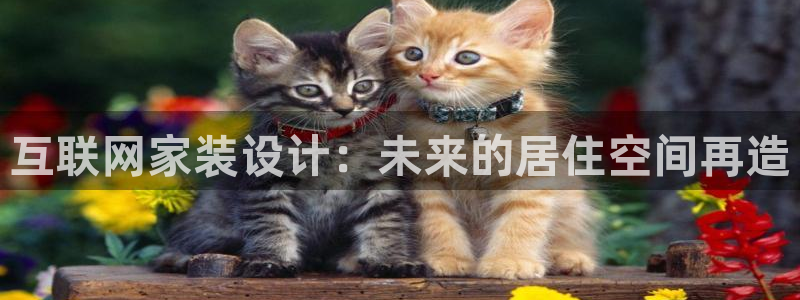 辉达娱乐属于什么档次：互联网家