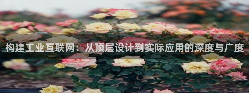 辉达娱乐彳75775