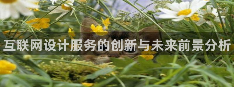 辉达平台娱乐怎么样