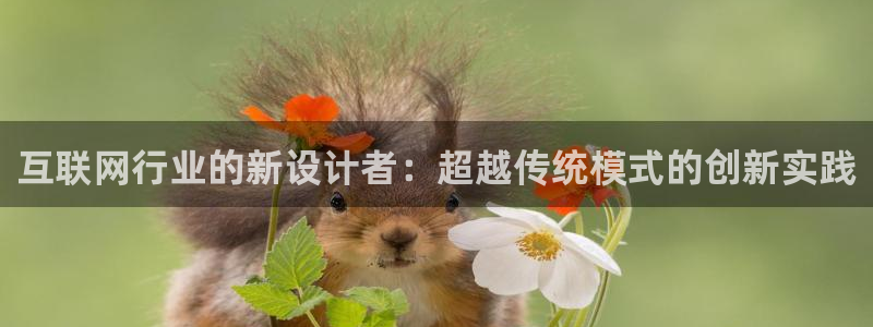 信誉辉达娱乐在线游戏