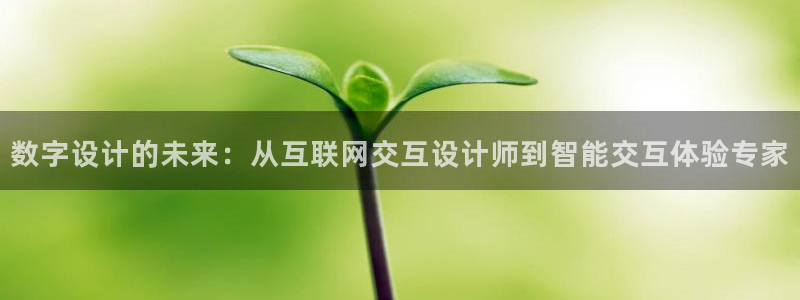 辉达集团官方网站：数字设计的未