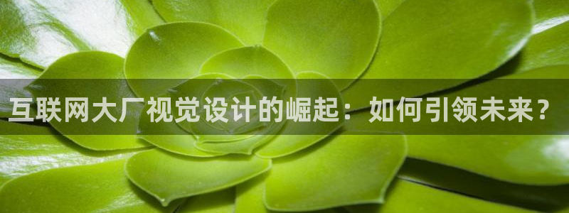 辉达娱乐最新版本更新内容