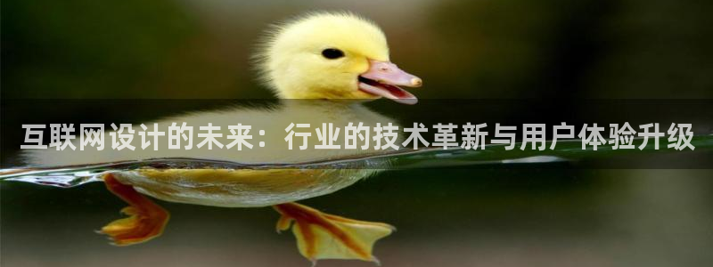 辉达娱乐公司