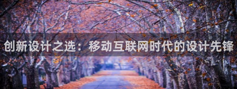 龙腾辉达电子娱乐