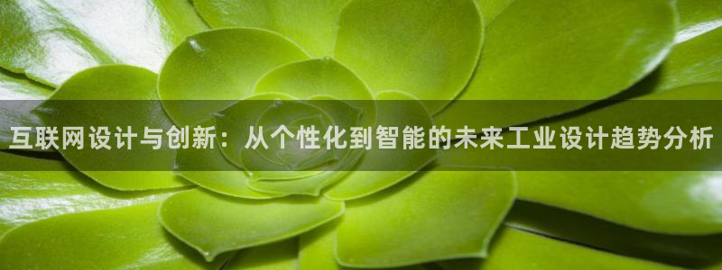 辉达娱乐电子：互联网设计与创新