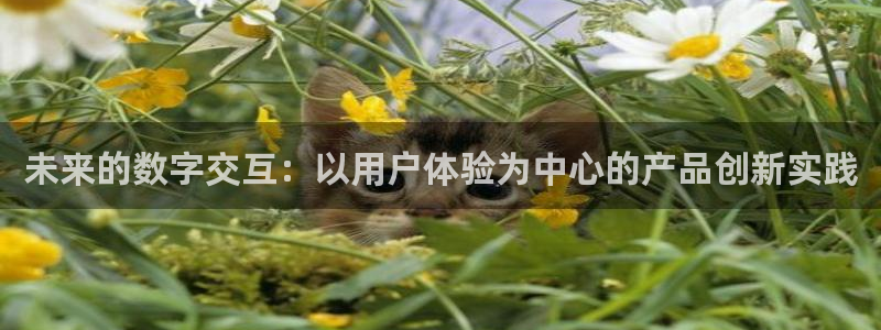 龙腾辉达电子娱乐