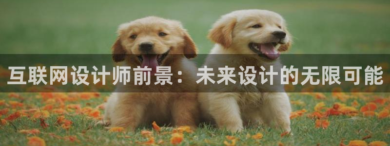 辉达娱乐广东11选5