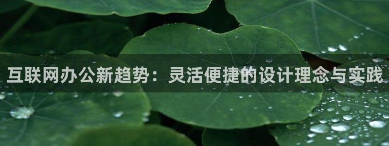 辉达娱乐分红