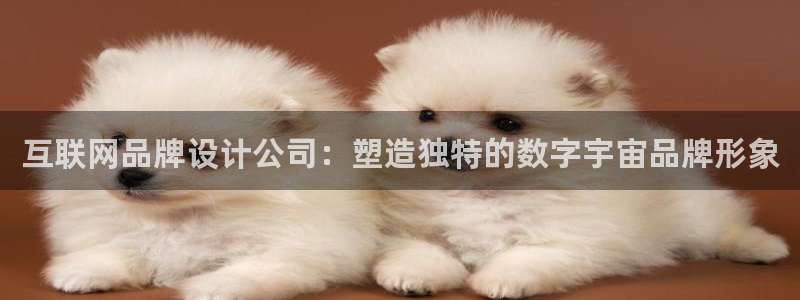 辉达娱乐珈75775