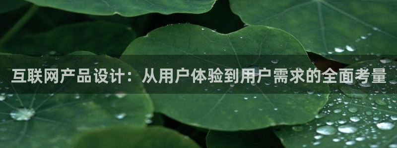 专业辉达娱乐官方网址