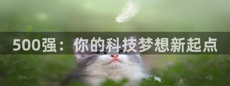 代理辉达娱乐开户注册