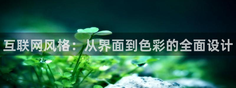 代理辉达娱乐平台