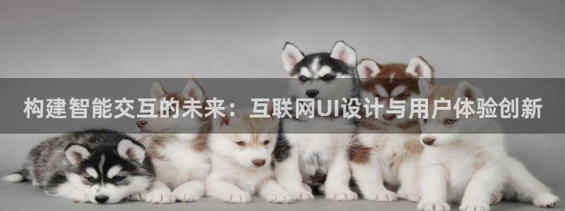 辉达娱乐己39444
