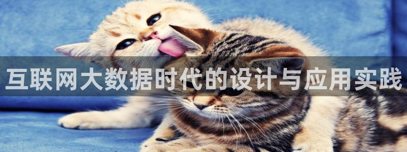 辉达娱乐平台