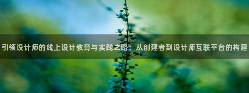 代理辉达娱乐平台