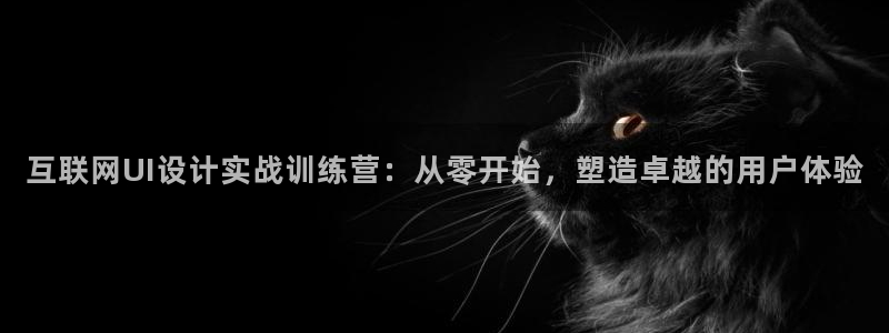 辉达娱乐计划软件