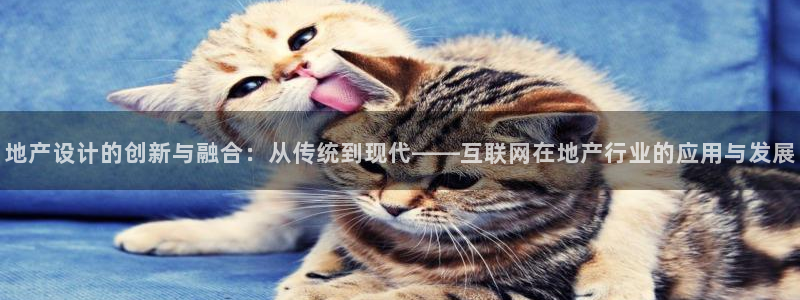 辉达娱乐电子