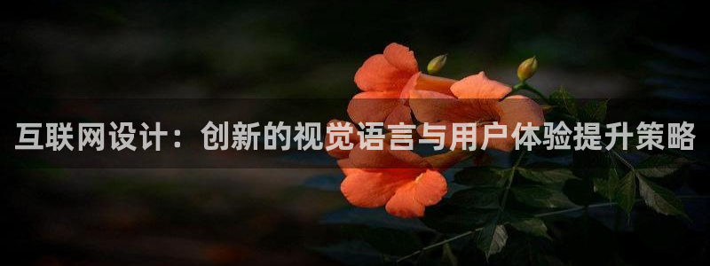 辉达娱乐ag游戏平台：互联网设