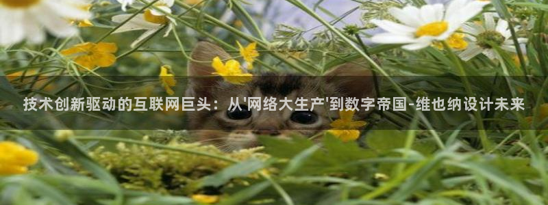 辉达娱乐平台：技术创新驱动的互