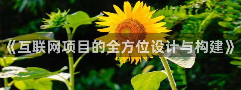 辉达娱乐游戏.直开.中国