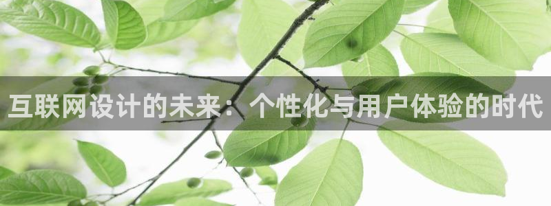 代理辉达娱乐：互联网设计的未来