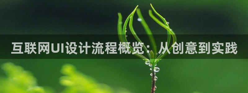 辉达娱乐属于什么档次：互联网U