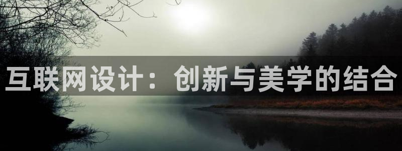 辉达平台官网登录：互联网设计：