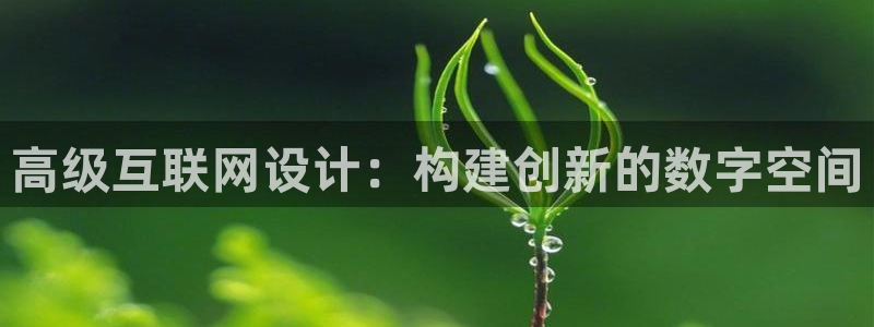 代理辉达娱乐平台