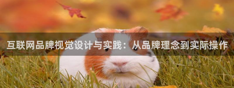 辉达娱乐官方网址：互联网品牌视