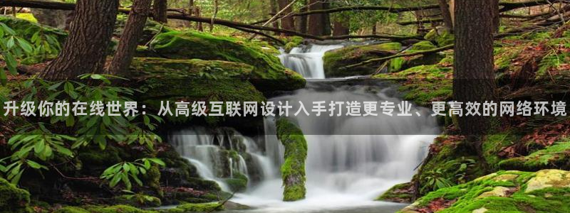 辉达娱乐官网：升级你的在线世界