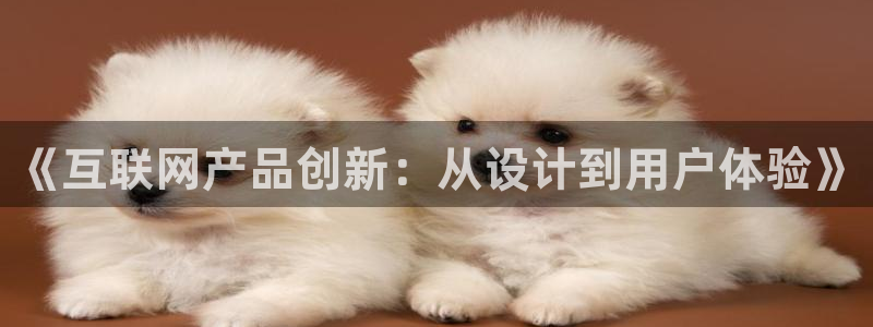 辉达娱乐加q75775：《互联