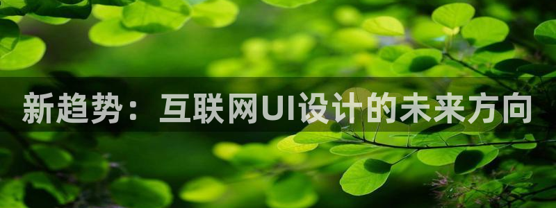 辉达官网登录入口入口