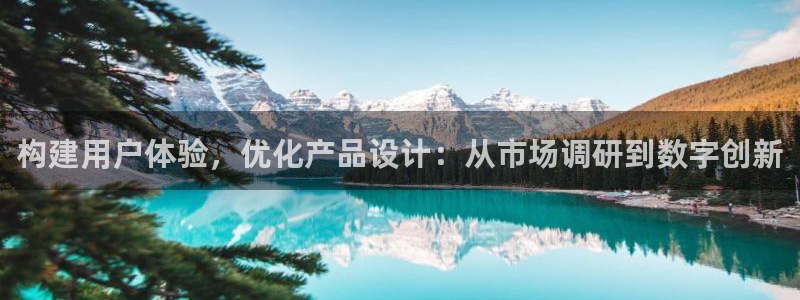 辉达娱乐计划软件：构建用户体验