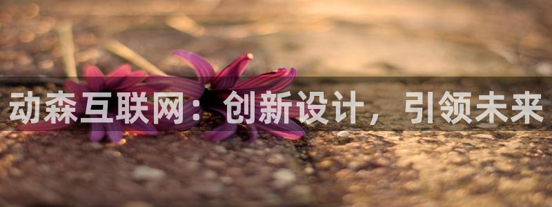 辉达娱乐下载：动森互联网：创新