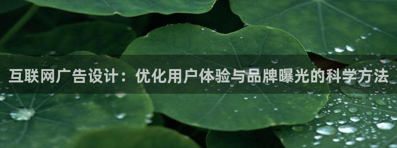辉达官网登录入口入口：互联网广