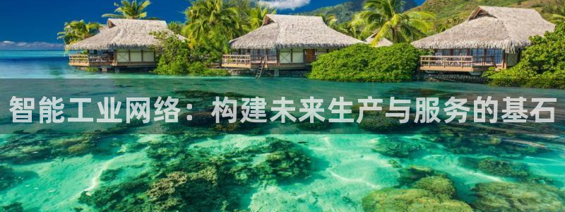 辉达娱乐最新消息新闻